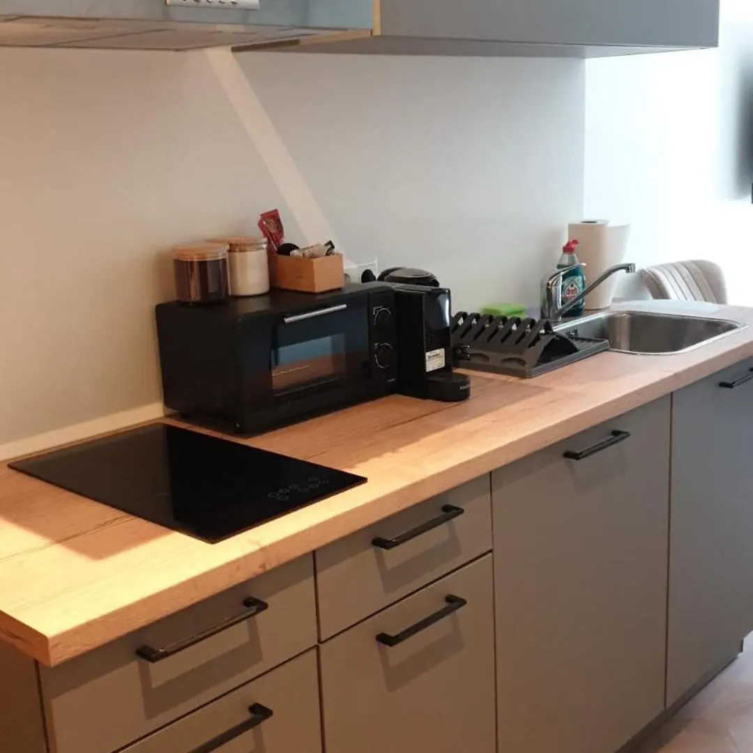 איינדהובן Luxeliving-Studio F הולנד